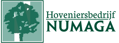 Hoveniersbedrijf Numaga legt tuinen aan in de regio Nijmegen en verzorgt het onderhoud.