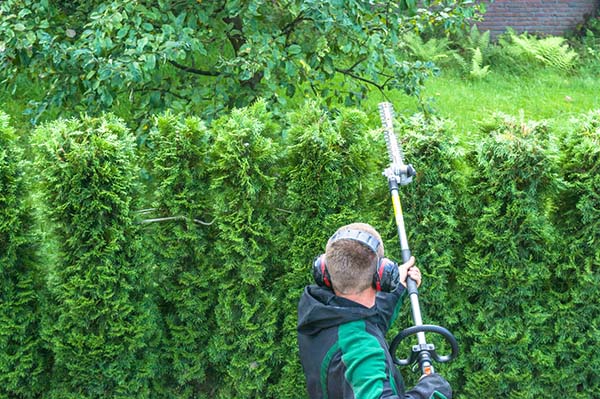 Het beplantingsplan van Hoeveniersbedrijf Numaga belooft een weelderige groei in jouw tuin.