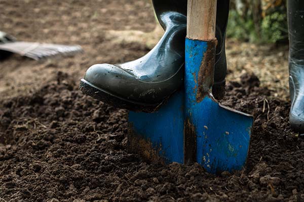 Laat je tuinonderhoud in Nijmegen over aan de hoveniers van Numaga.